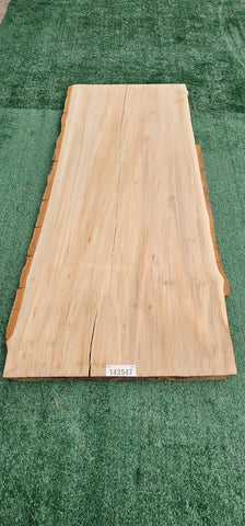 Sycamore #143547