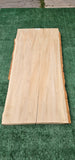 Sycamore #143547