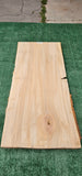 Sycamore #143548