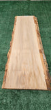 Sycamore #143550