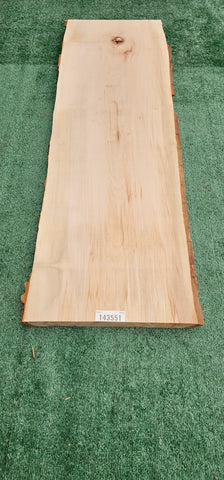Sycamore #143551