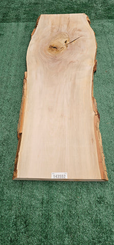 Sycamore #143552