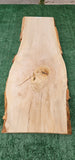 Sycamore #143552