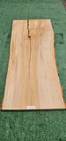 Sycamore #143556