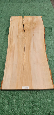 Sycamore #143556