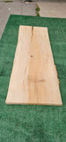 Sycamore #143556