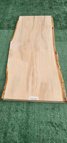 Sycamore # 143559
