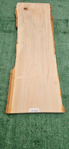 Sycamore # 143560