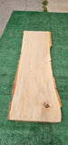 Sycamore # 143560