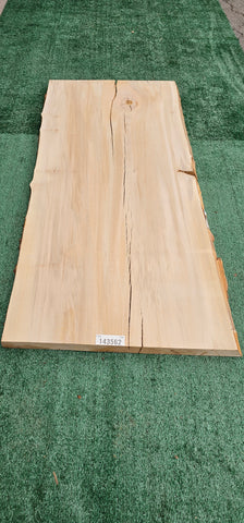 Sycamore # 143562