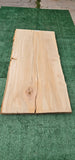 Sycamore # 143562