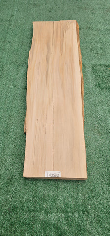 Sycamore # 143563
