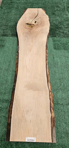 Sycamore # 143564