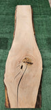 Sycamore # 143564
