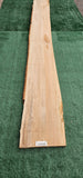 Sycamore # 143568
