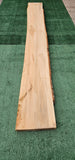 Sycamore # 143568