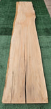 Sycamore # 143571