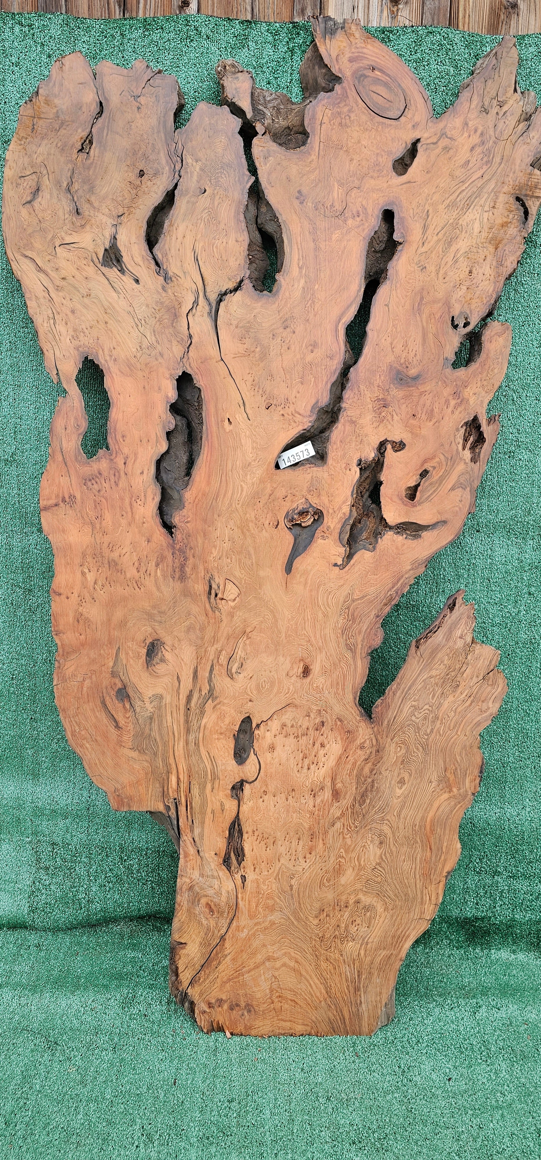 Redwood Burl # 143573