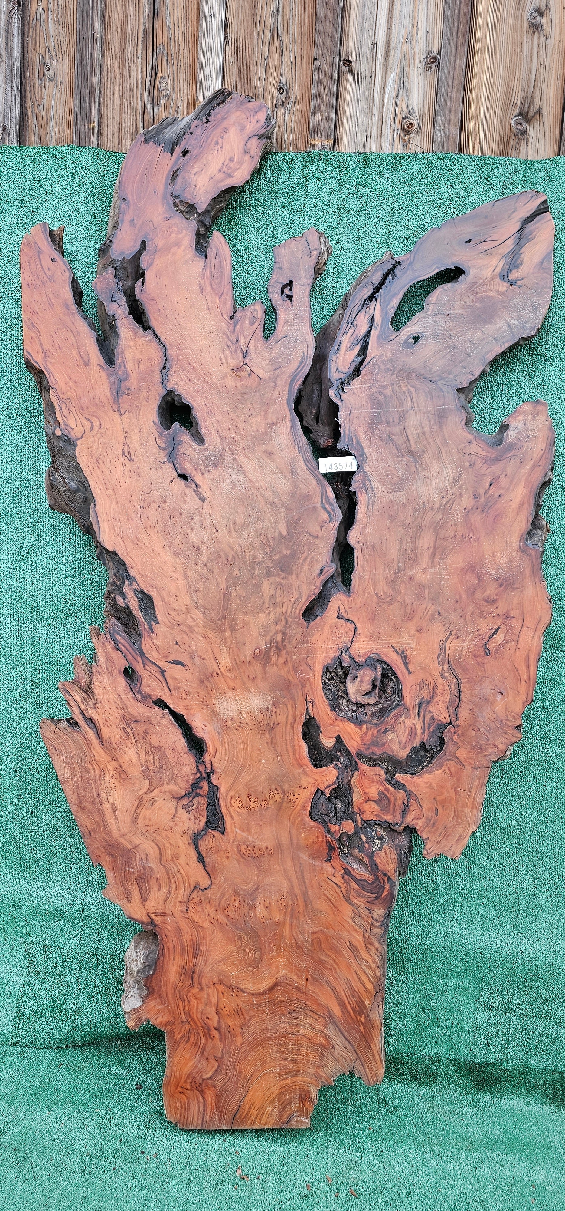 Redwood Burl # 143574