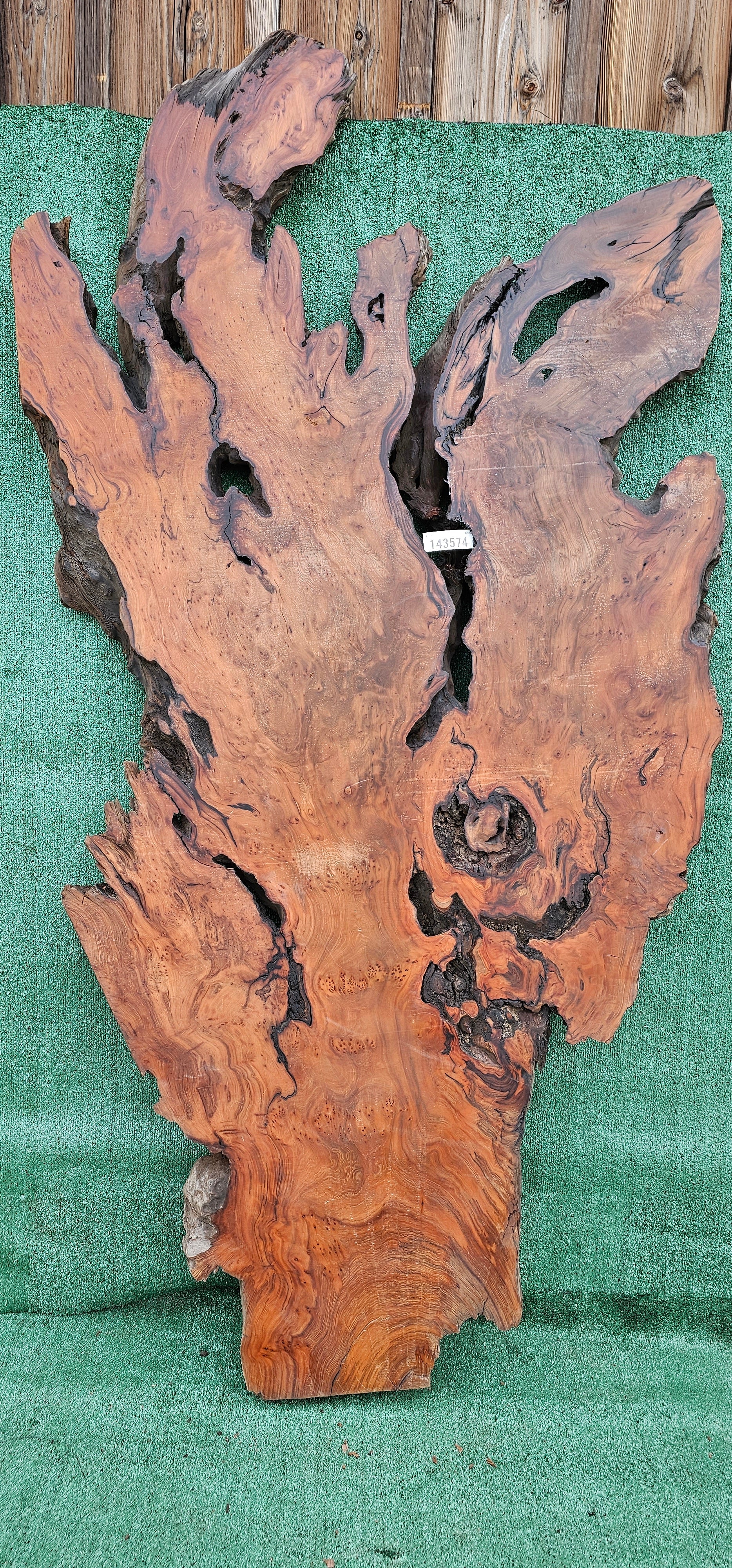 Redwood Burl # 143574