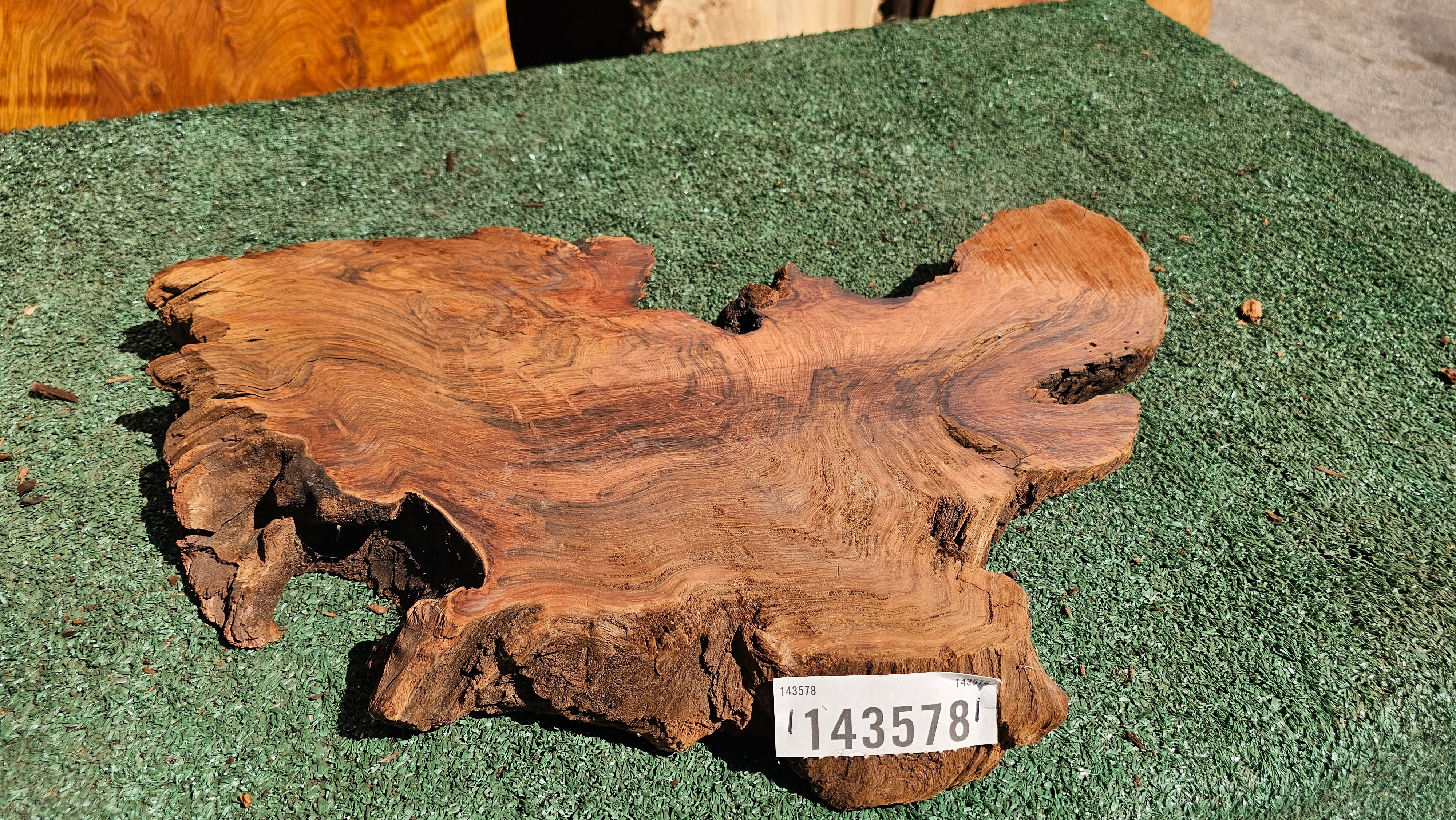 Redwood Burl # 143578