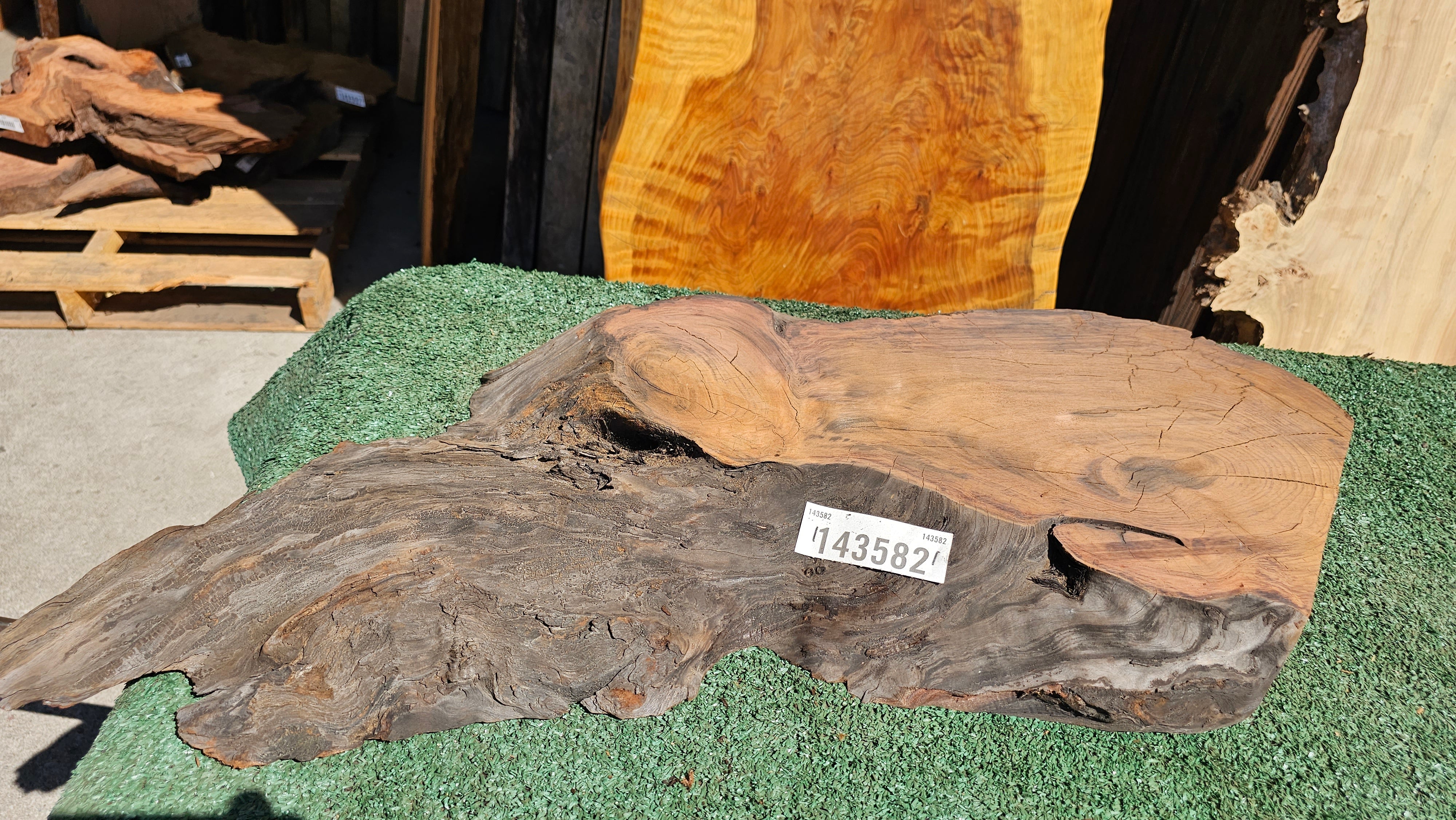 Redwood Burl # 143582