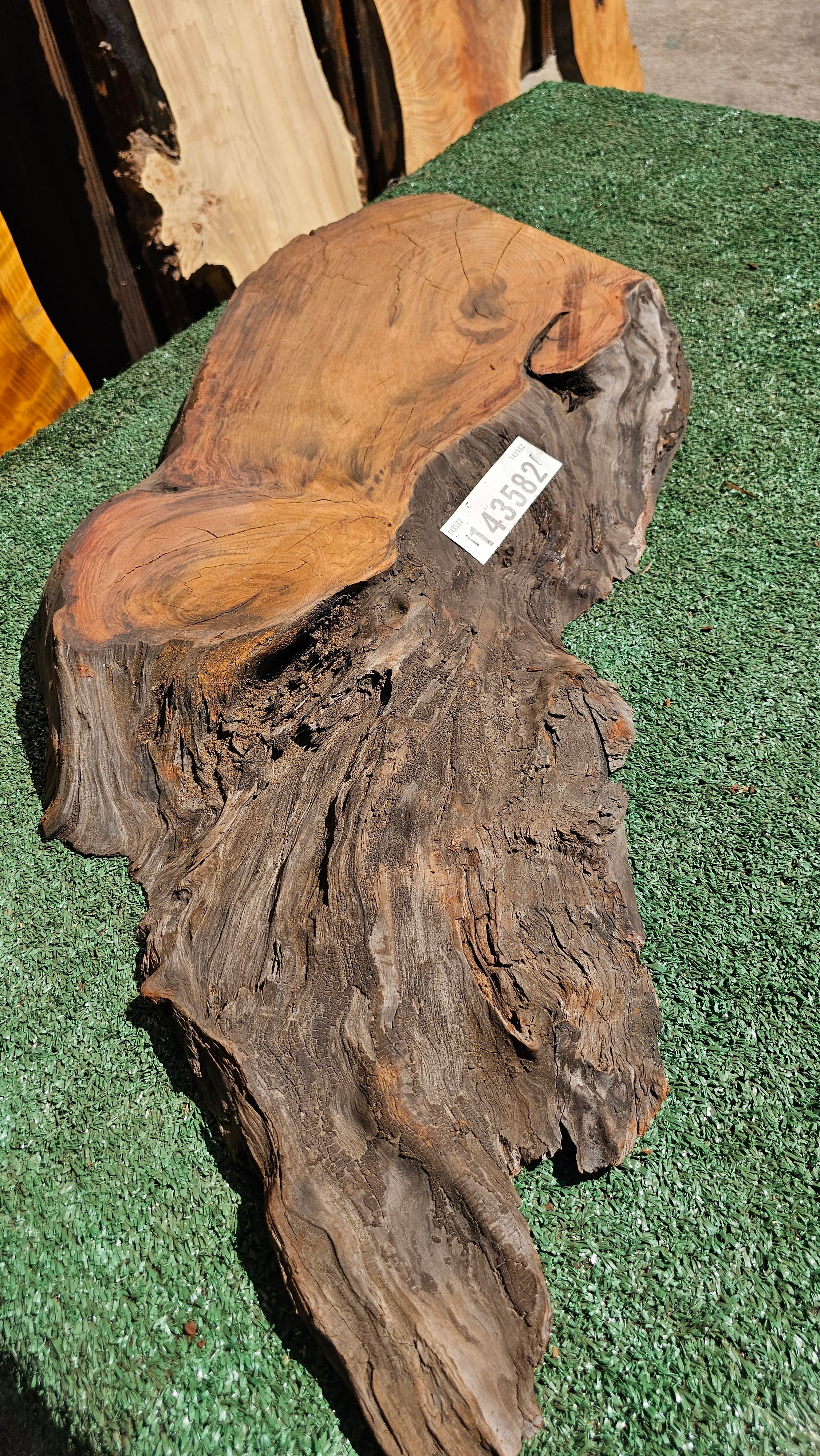 Redwood Burl # 143582