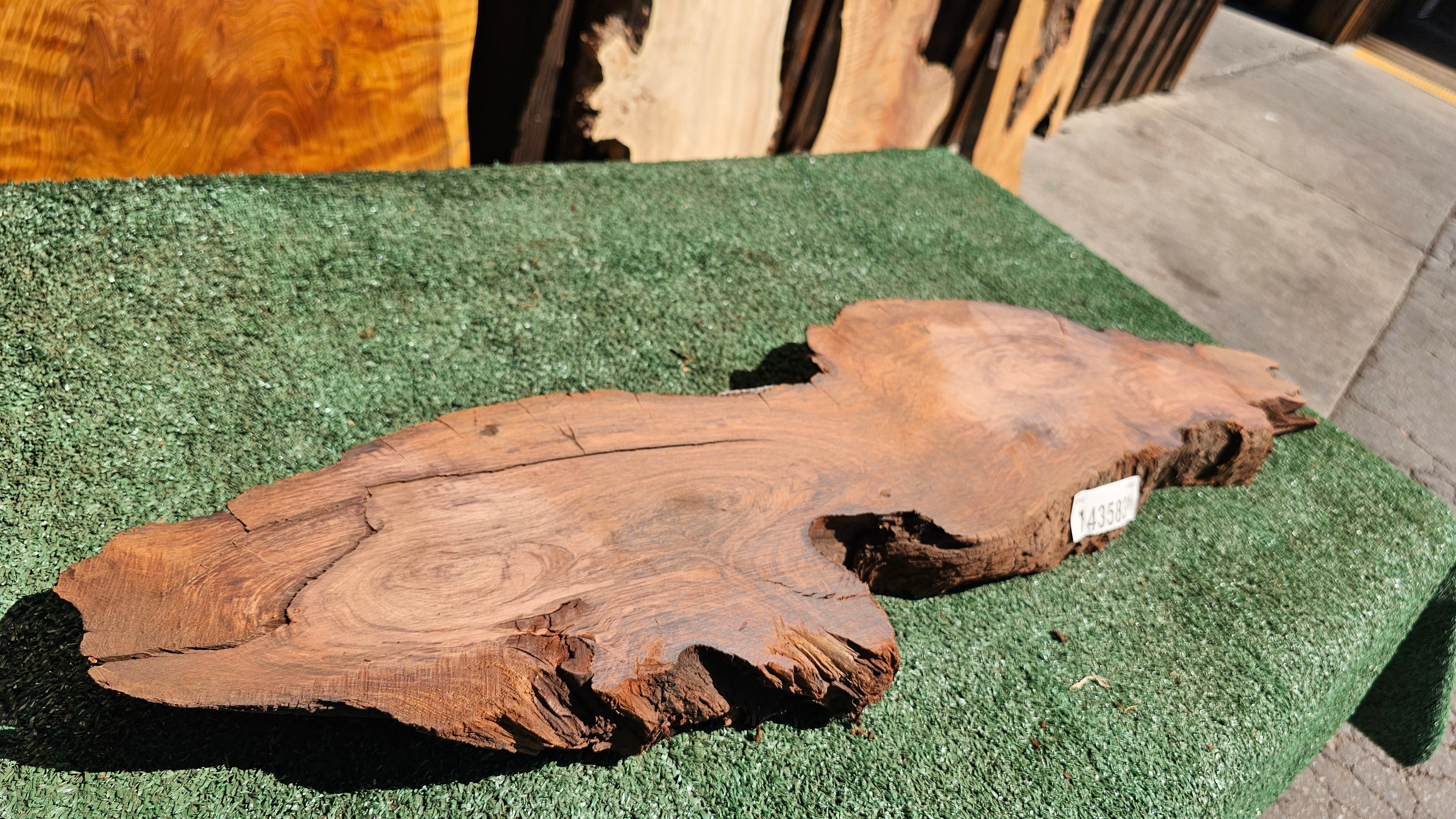 Redwood Burl #143583