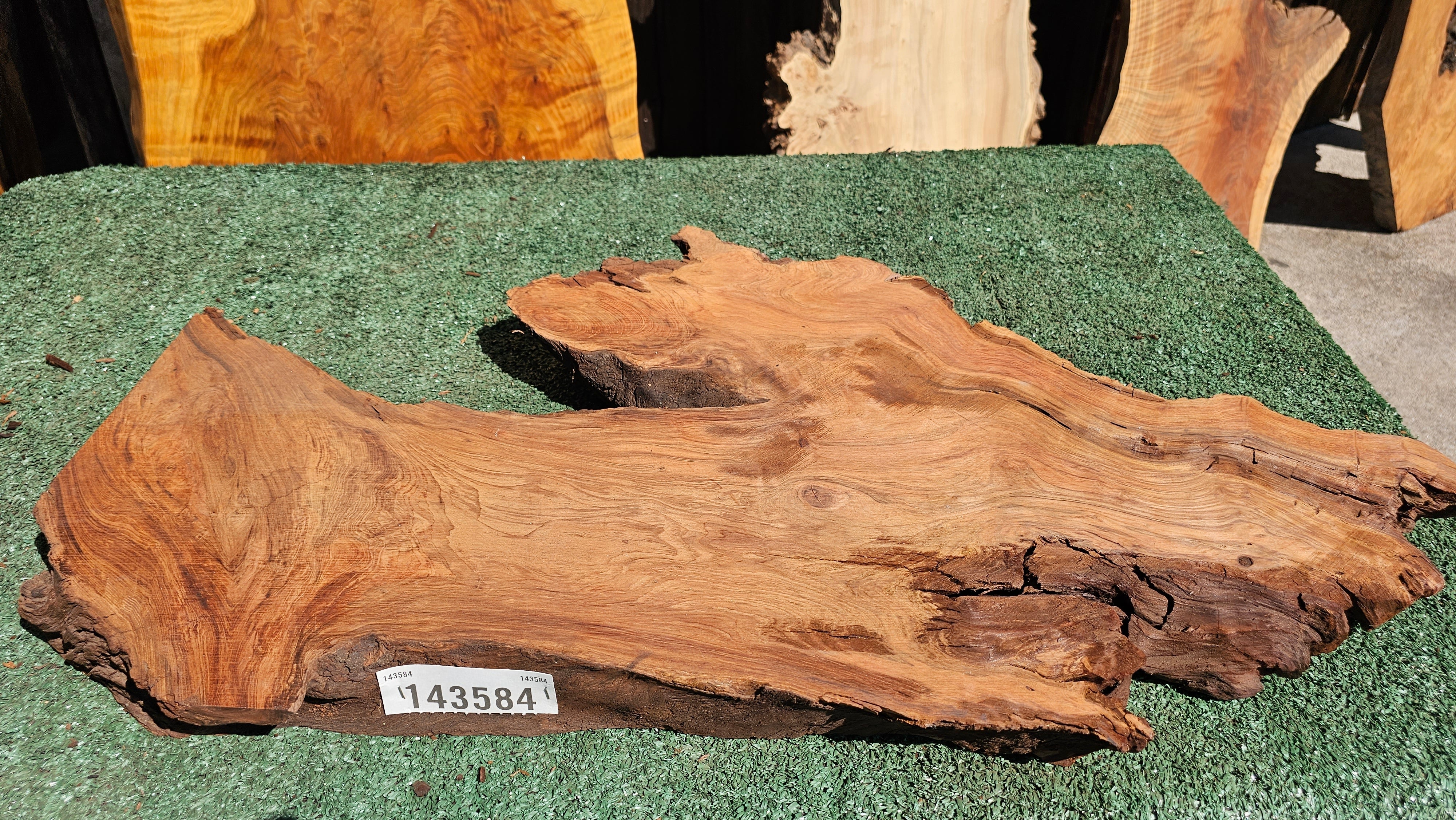 Redwood Burl # 143584