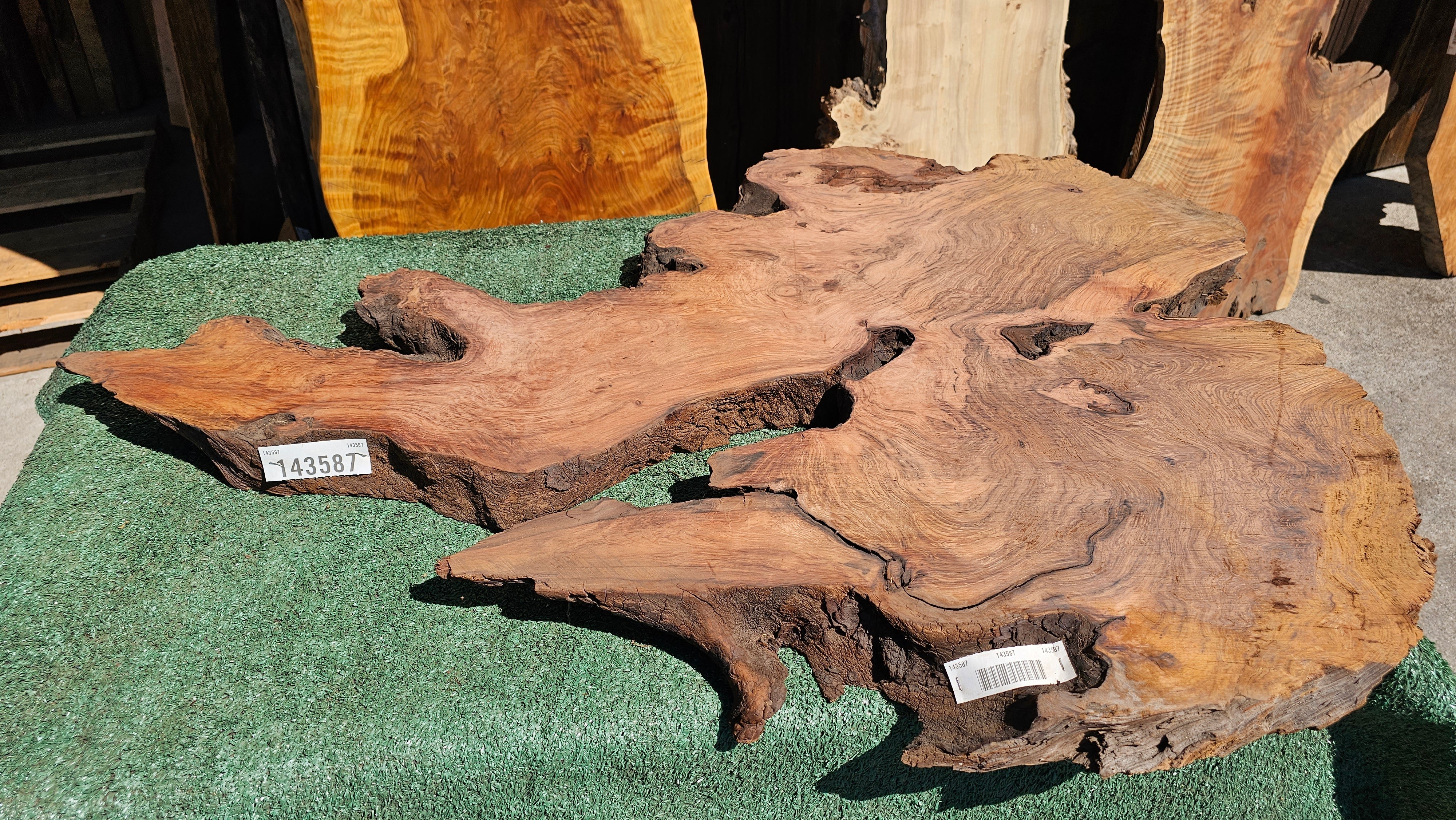 Redwood Burl # 143587