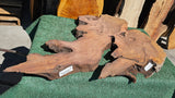 Redwood Burl # 143587