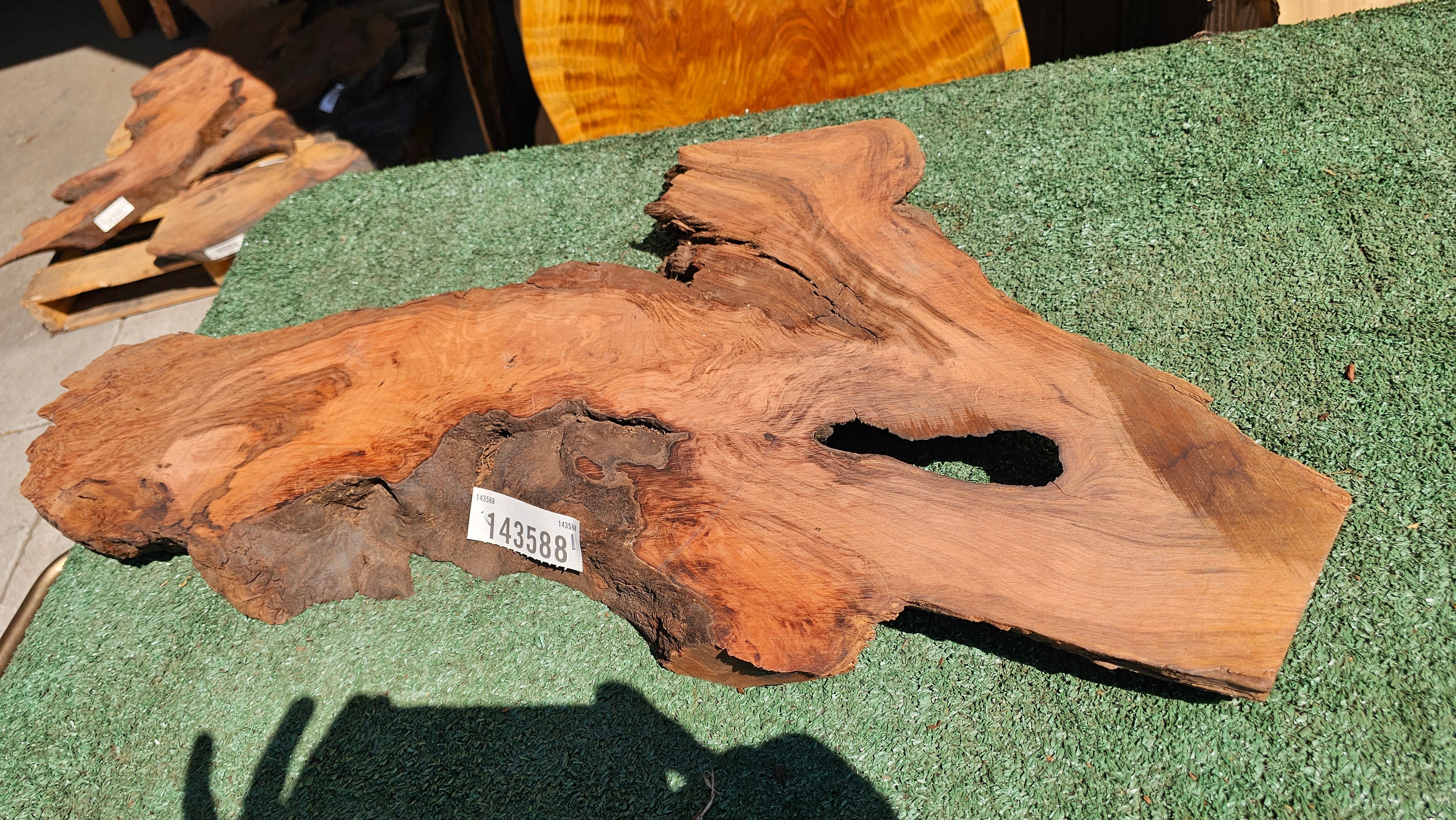 Redwood Burl # 143588