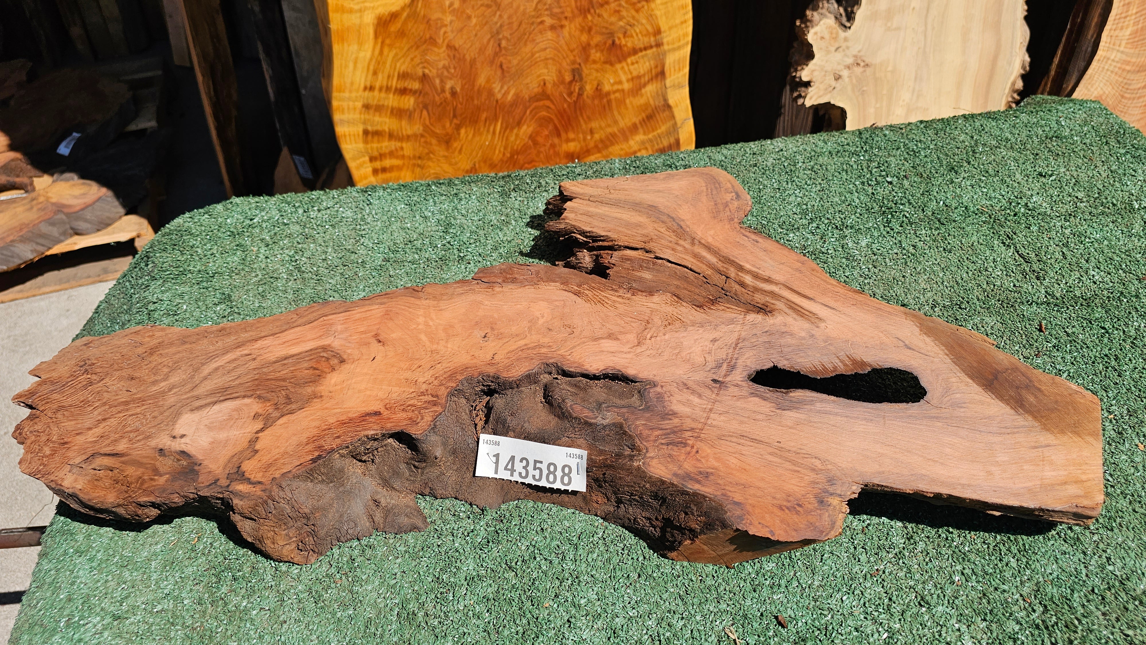 Redwood Burl # 143588