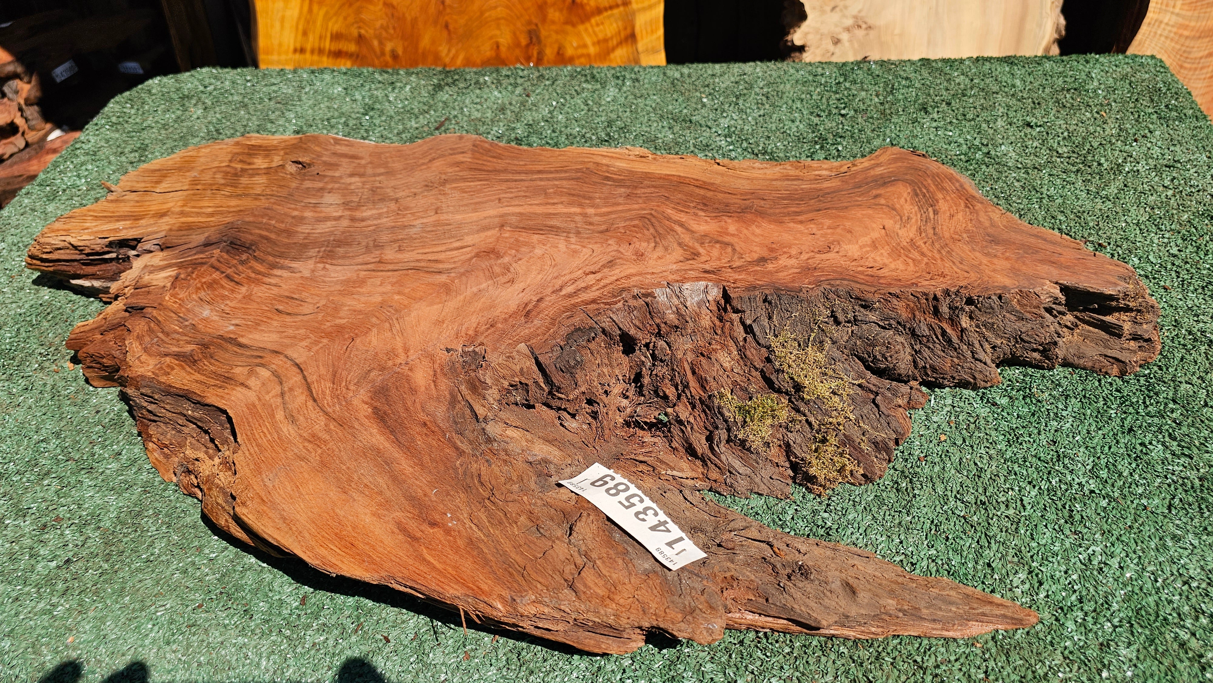 Redwood Burl # 143589