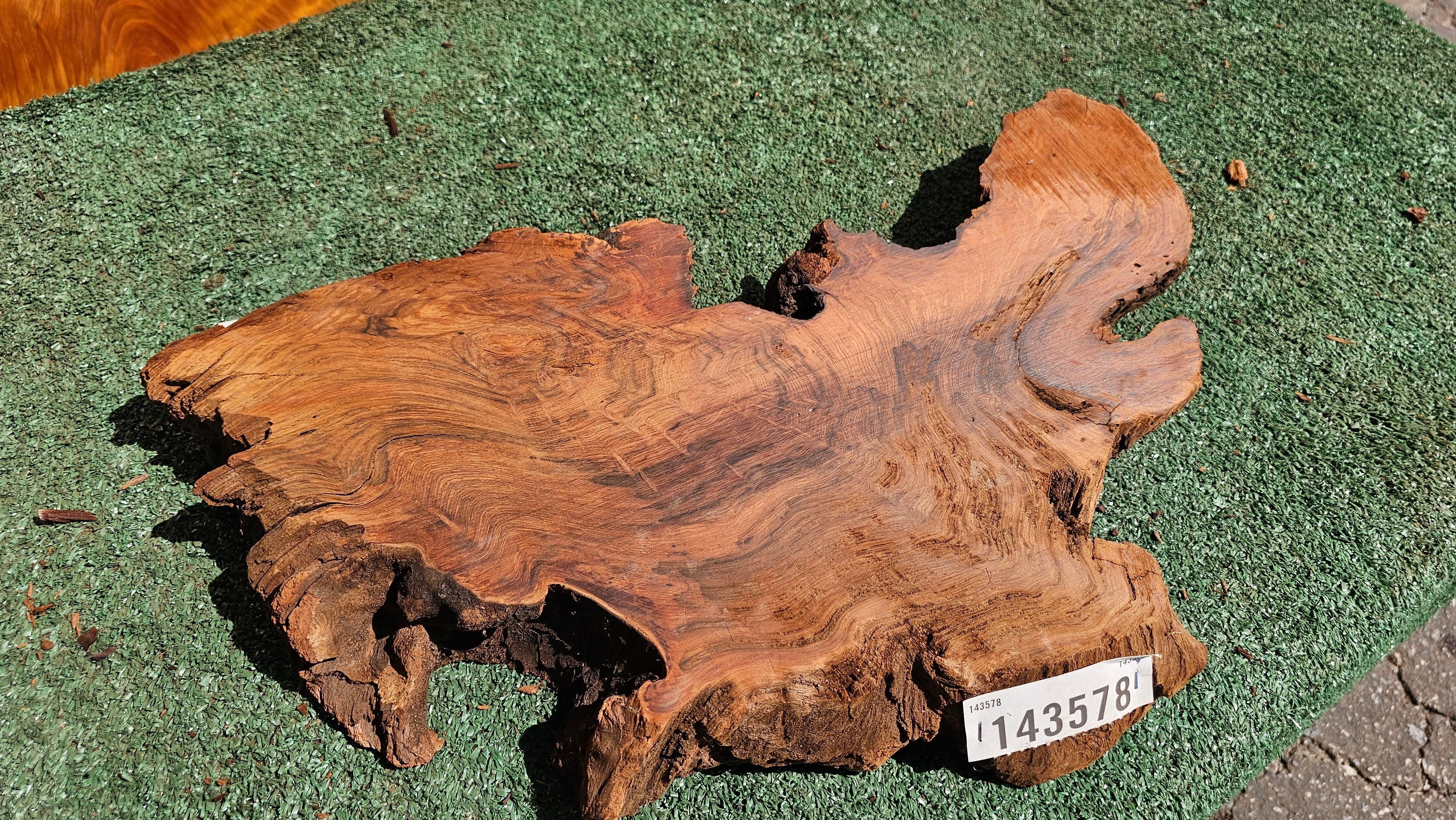 Redwood Burl # 143591