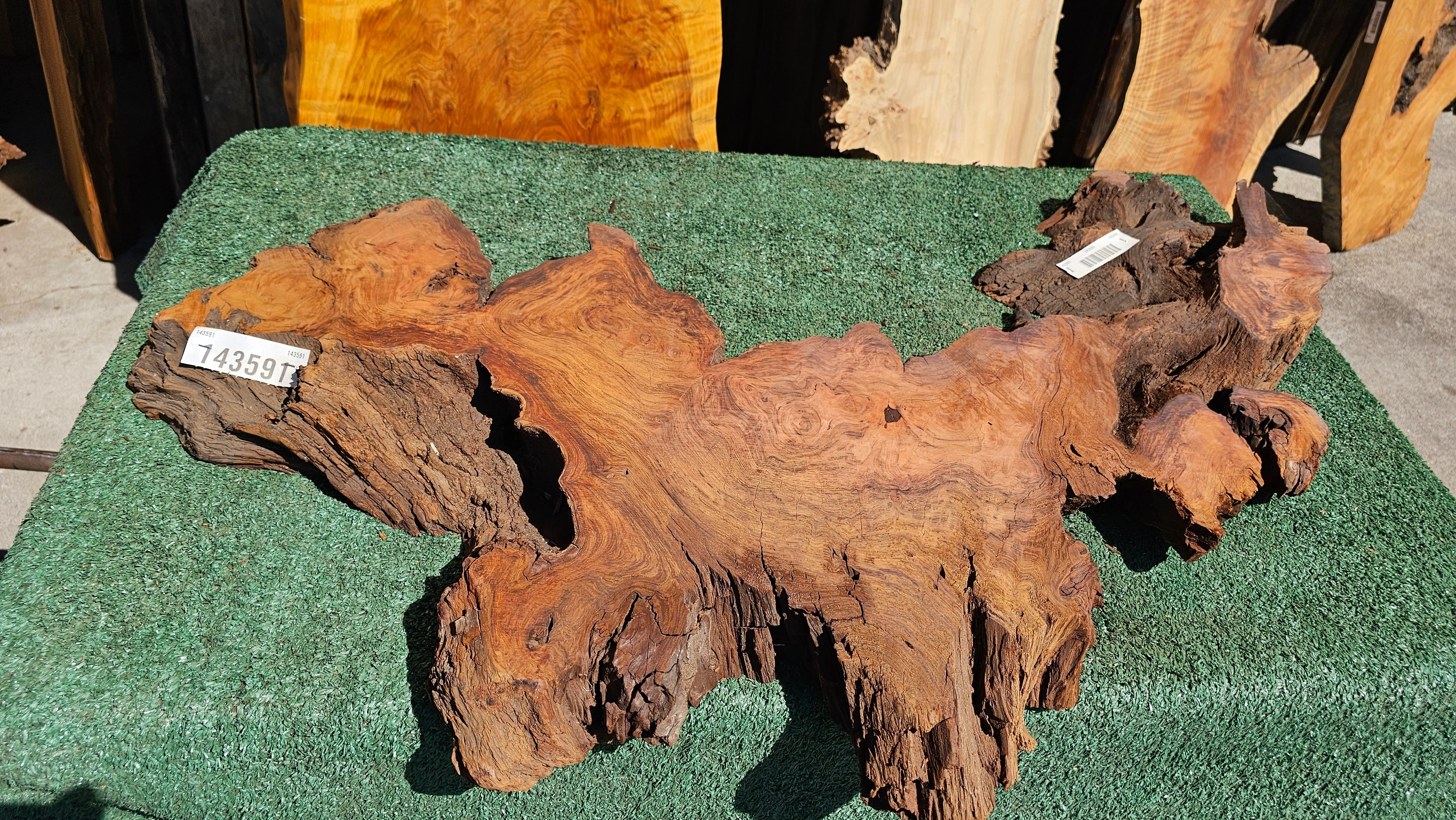 Redwood Burl # 143591