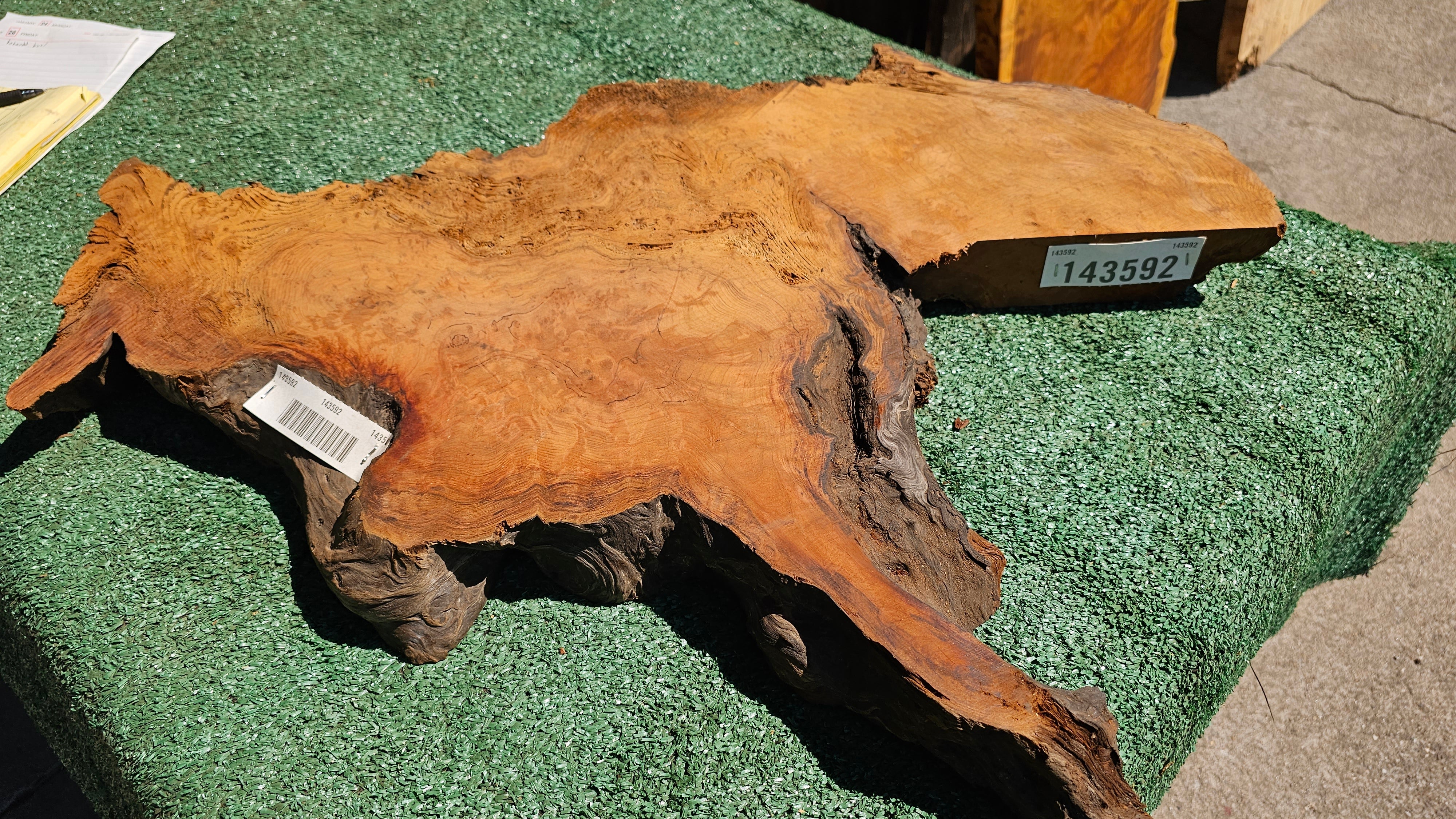 Redwood Burl # 143592