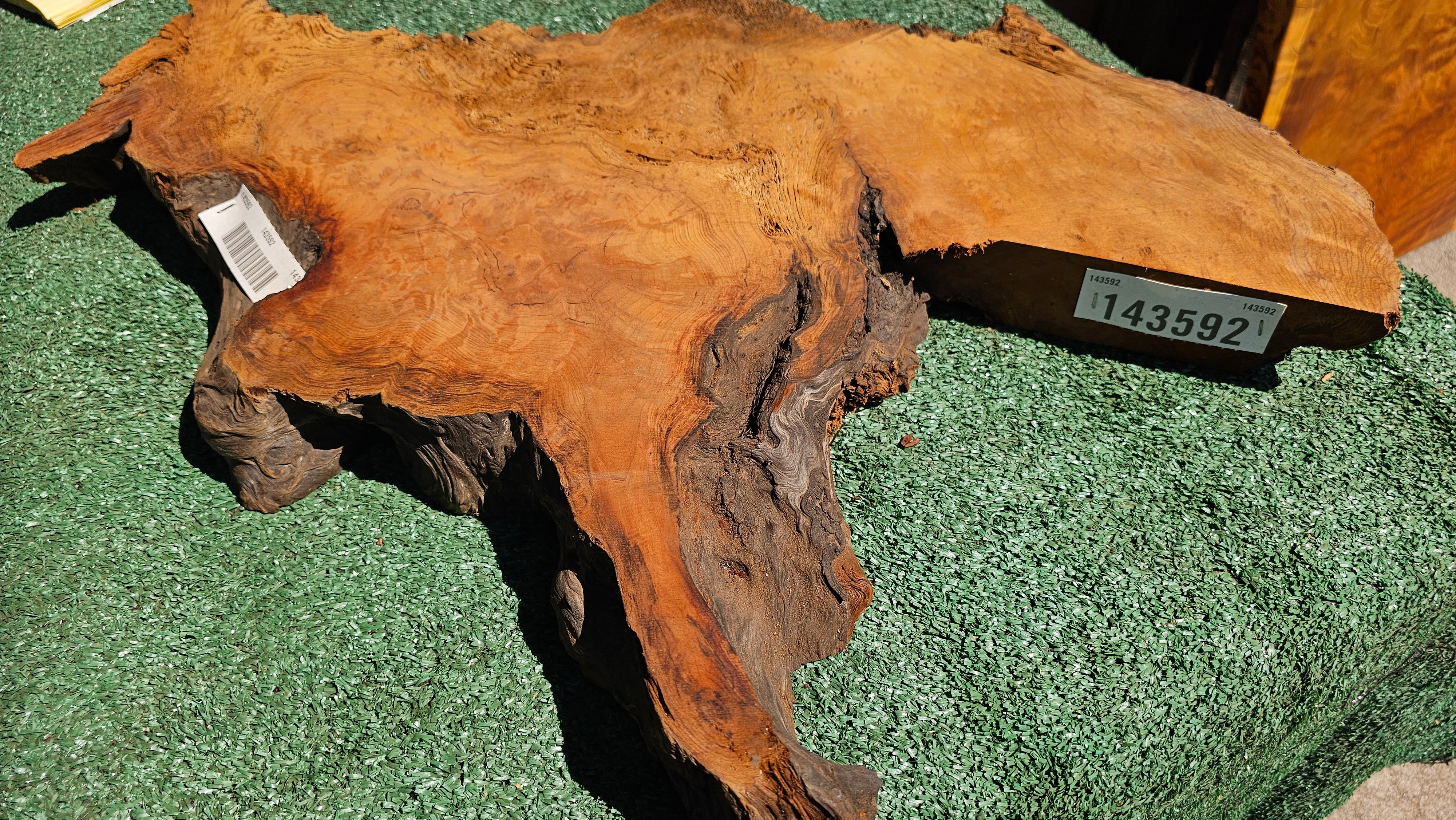 Redwood Burl # 143592