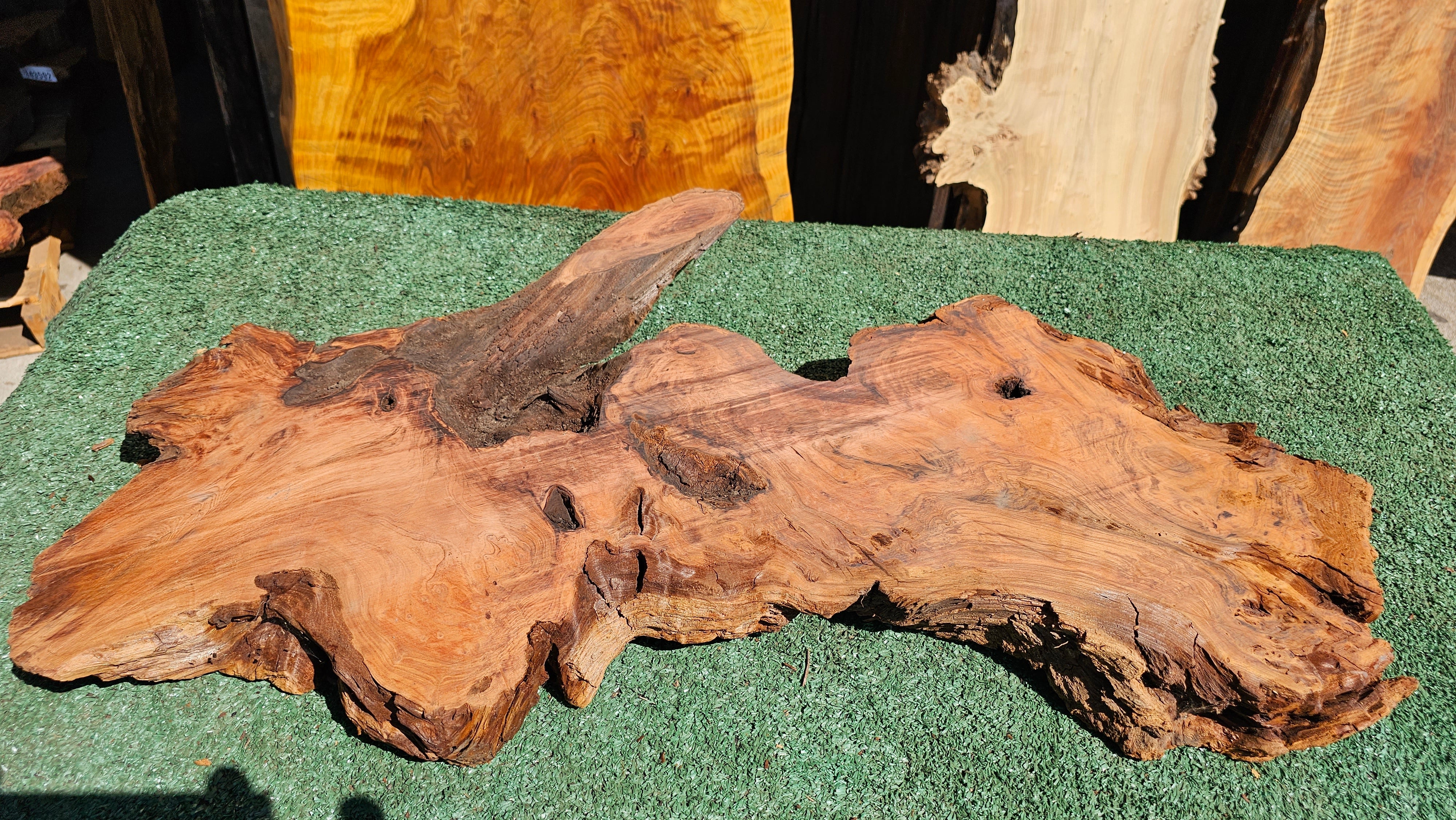 Redwood Burl # 143593