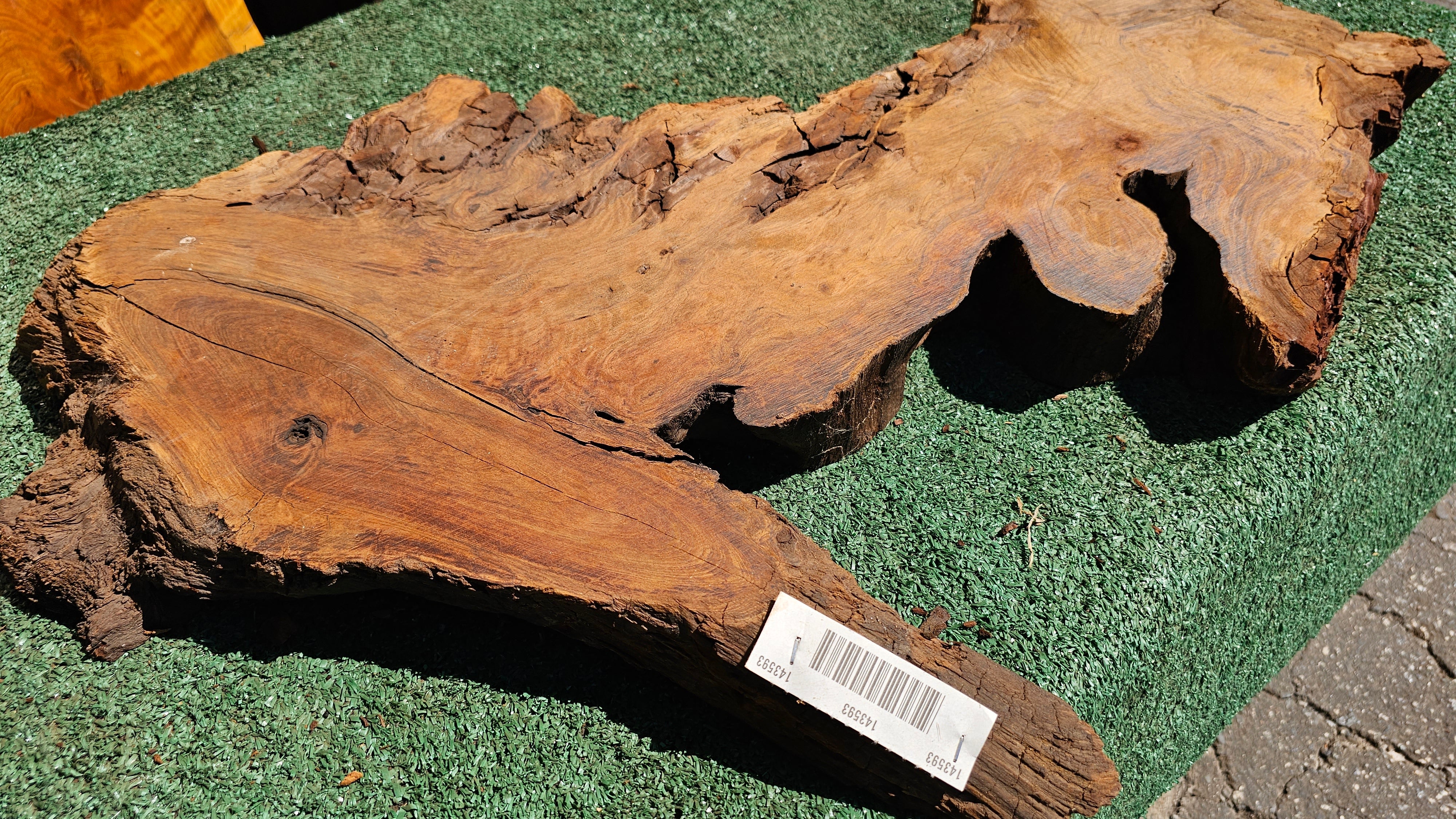 Redwood Burl # 143593