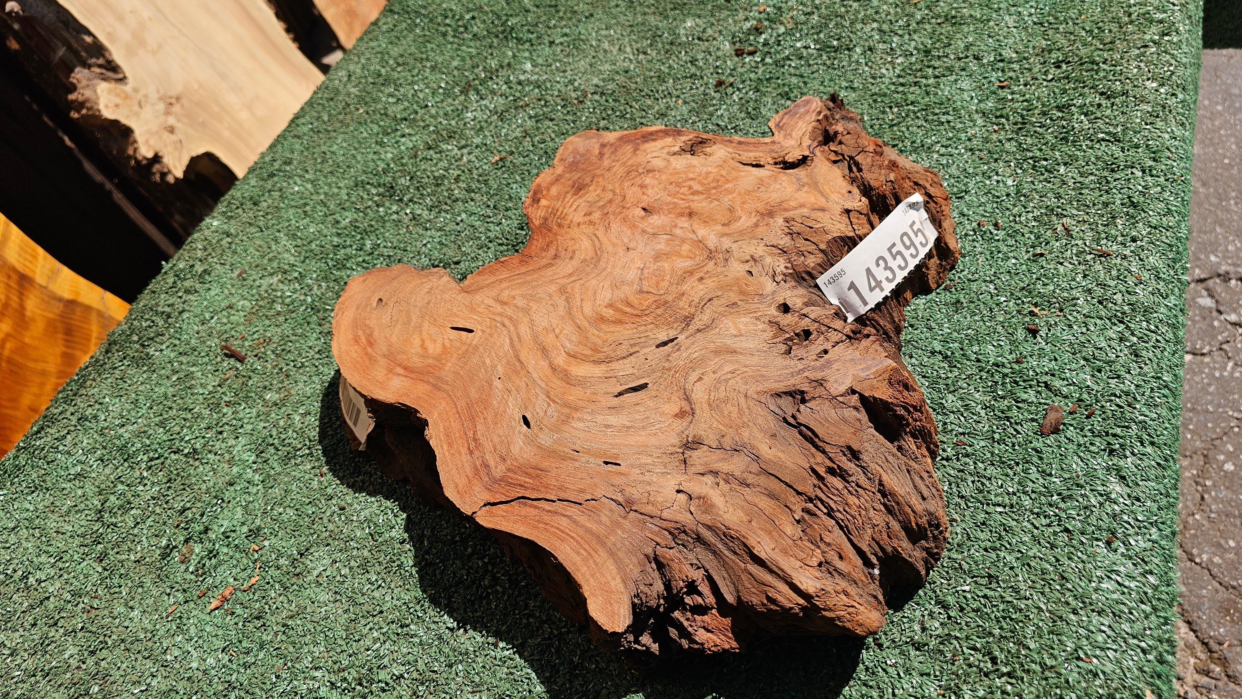 Redwood Burl # 143595