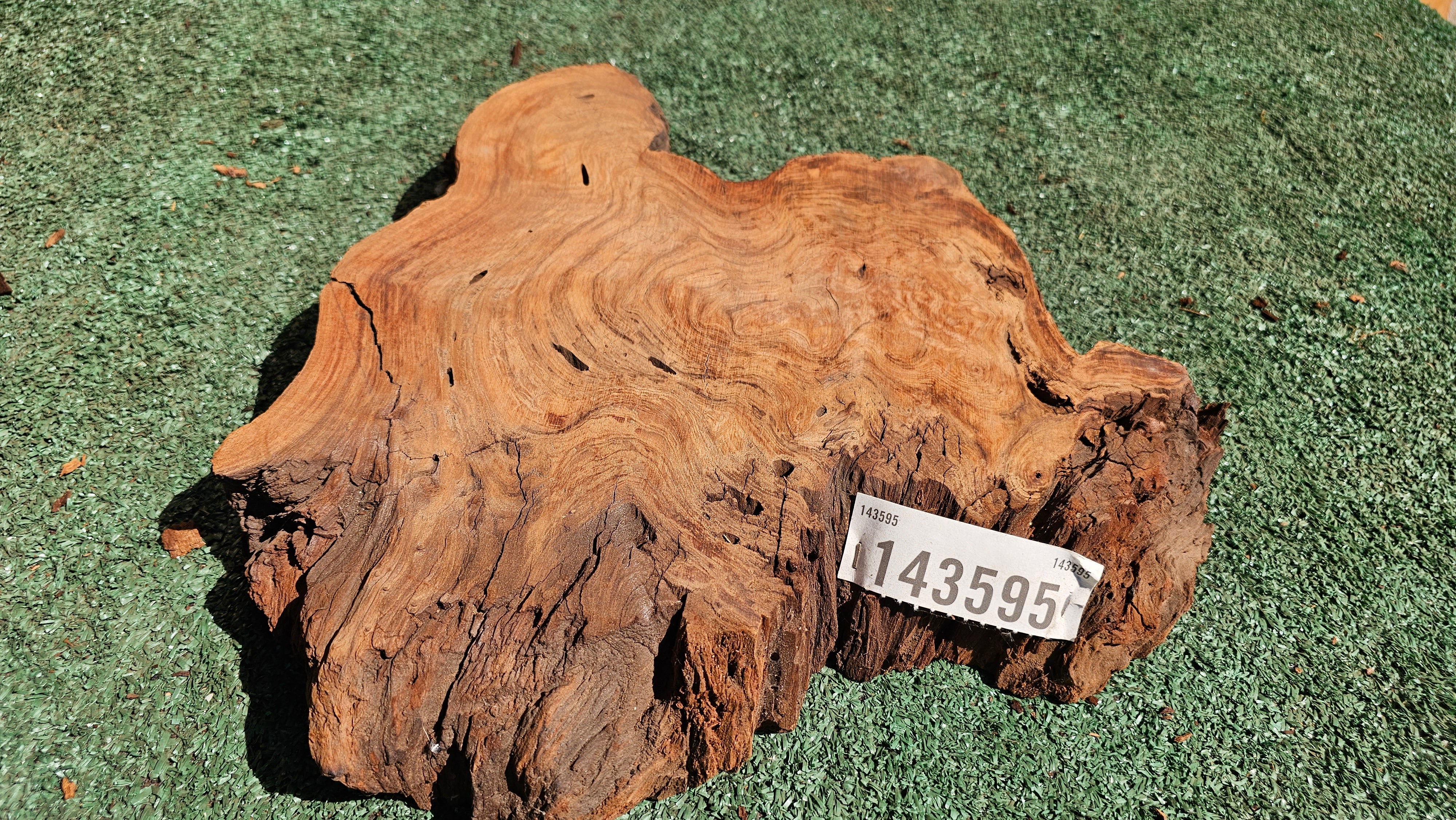 Redwood Burl # 143595