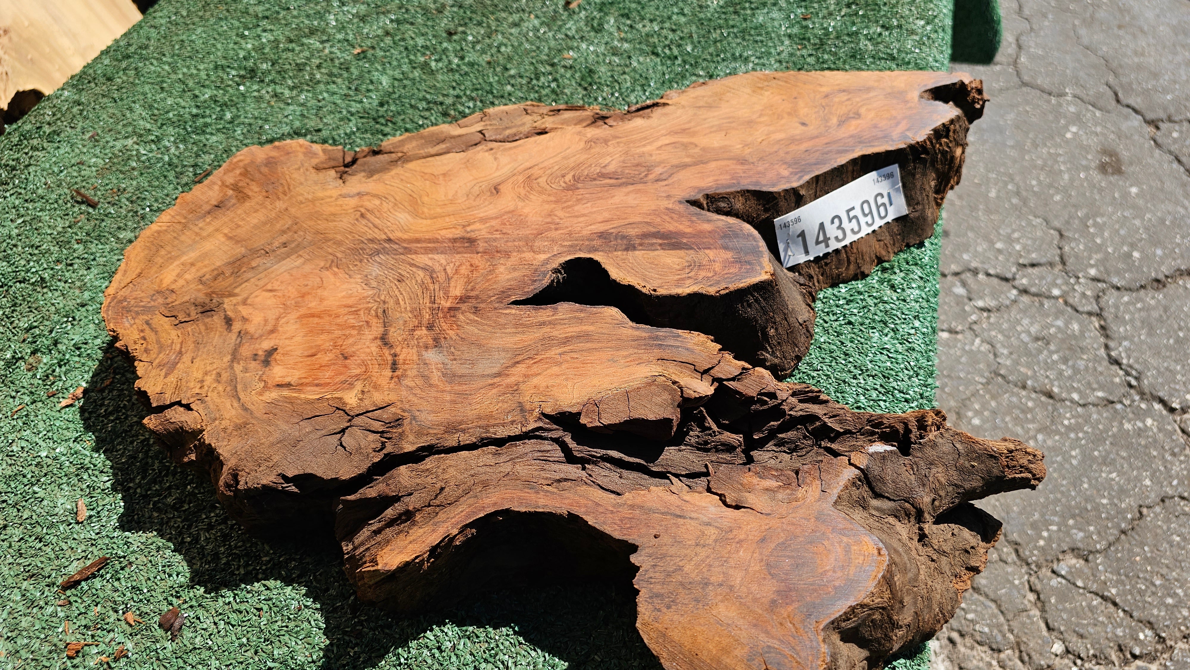 Redwood Burl # 143596