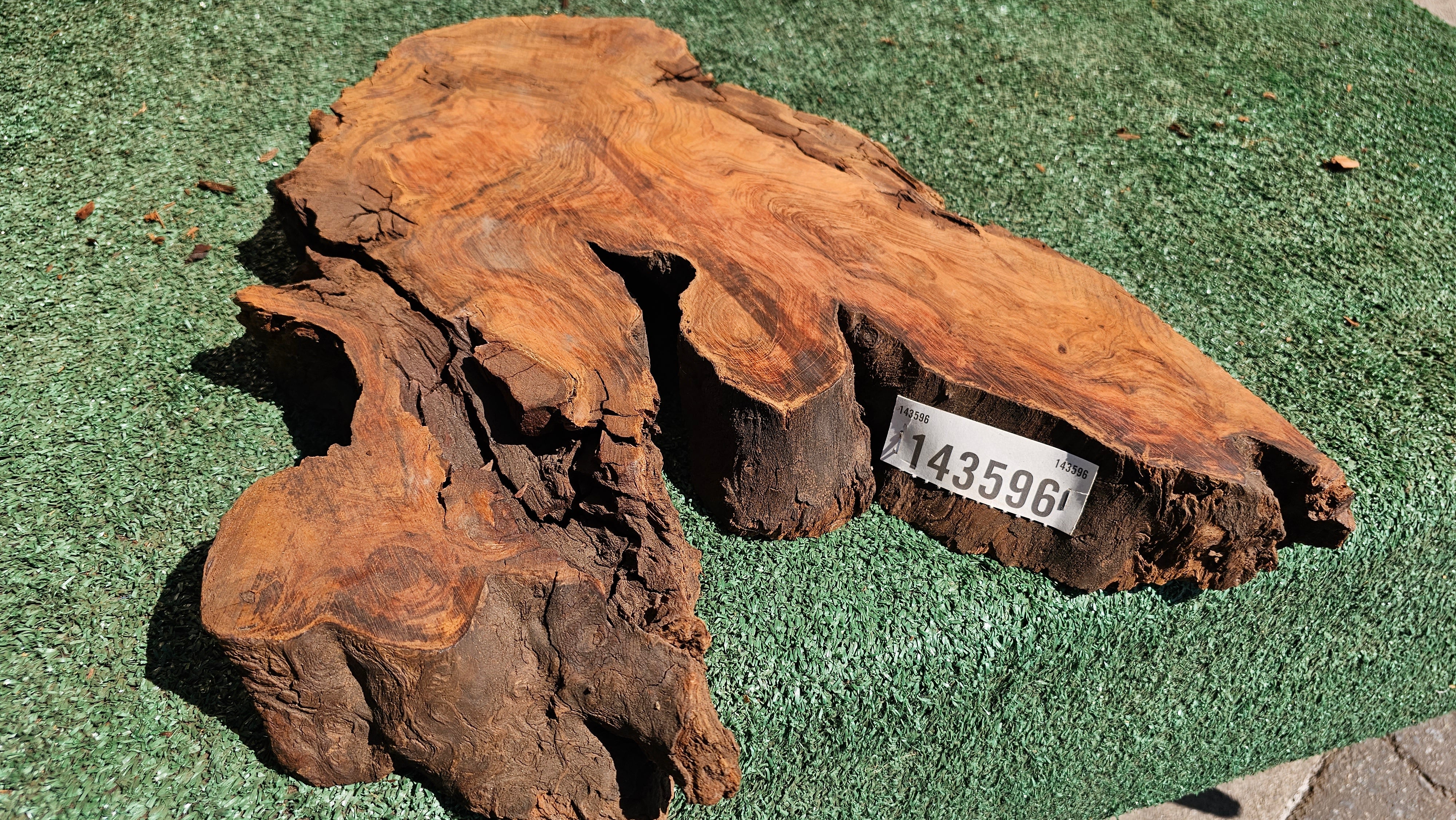 Redwood Burl # 143596
