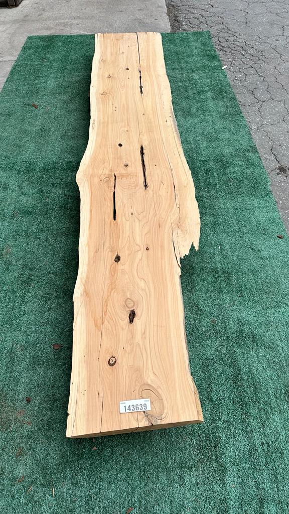 Monterey Cypress #143639
