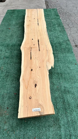 Monterey Cypress #143639