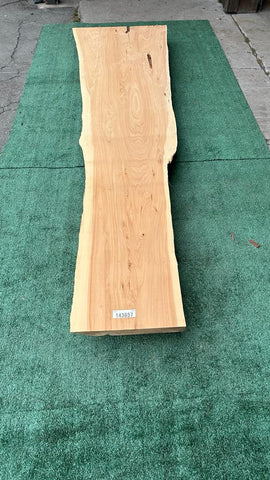 Monterey Cypress #143657