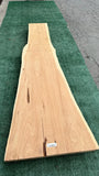 Monterey Cypress #143657