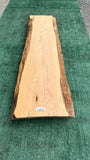 Monterey Cypress #143659