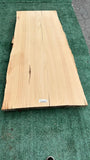 Monterey Cypress #143660